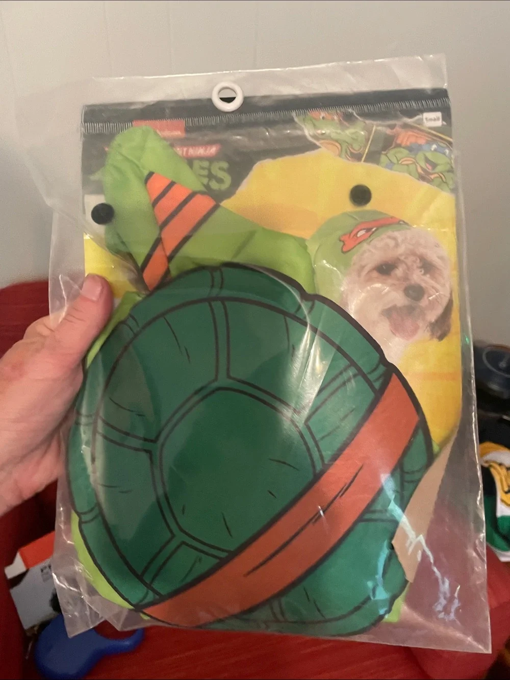 Pet lot